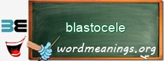 WordMeaning blackboard for blastocele